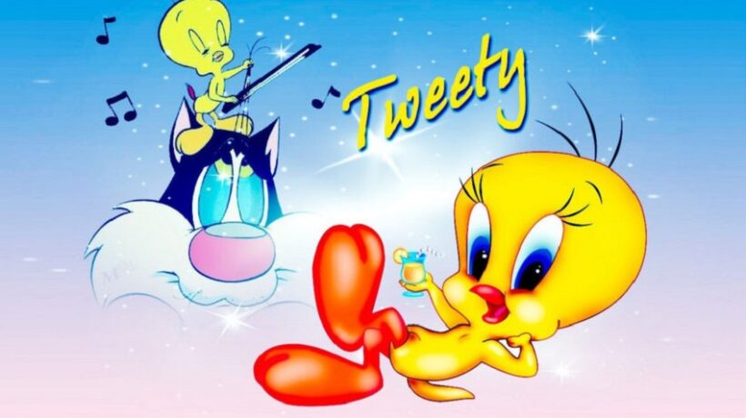 What animal is Tweety?
