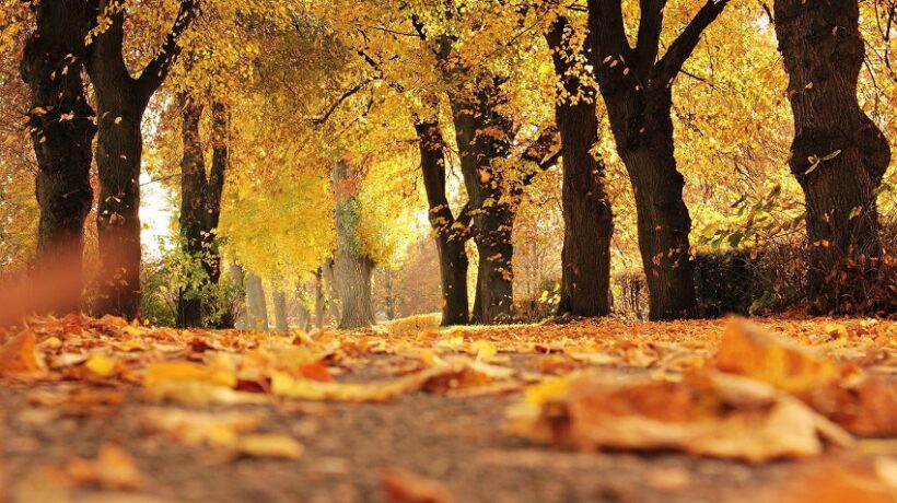What is Spring Season in Our Life?