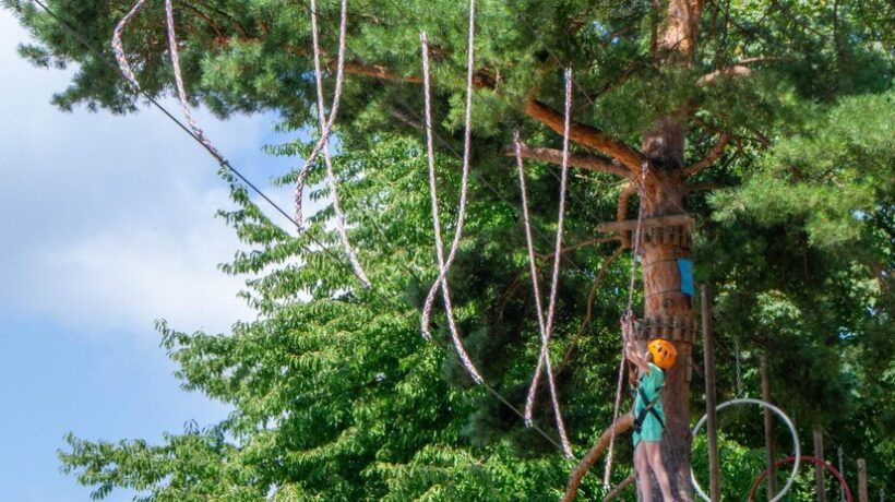 What is Tree Rope? Unraveling the Wonders of Nature’s Strongest Fiber