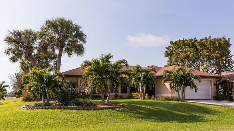 Why is Florida Grass Brown?