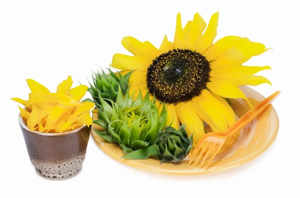 Do You Eat Sunflower Buds