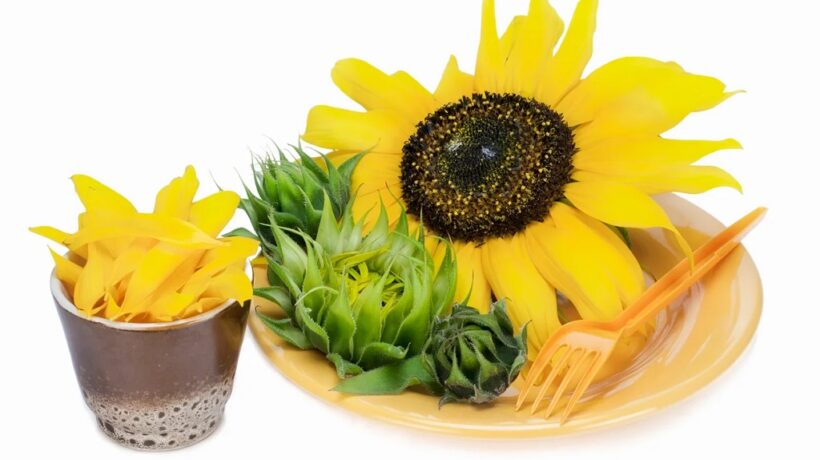 How Do You Eat Sunflower Buds: A Delightful Culinary Adventure