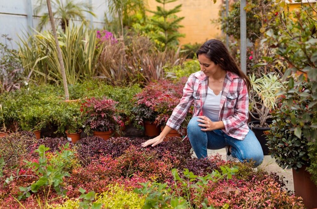 Tips for Maintaining Your Healing Garden