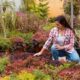 Tips for Maintaining Your Healing Garden