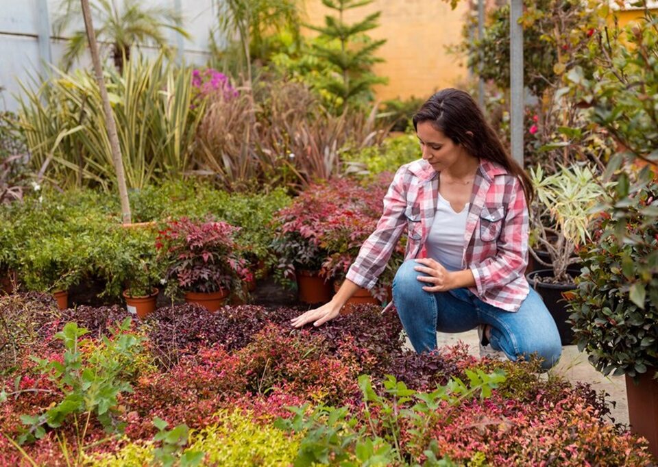 Tips for Maintaining Your Healing Garden