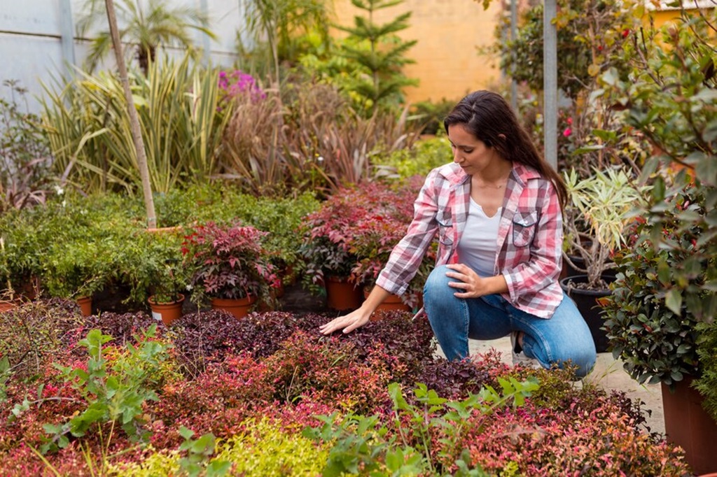 Tips for Maintaining Your Healing Garden