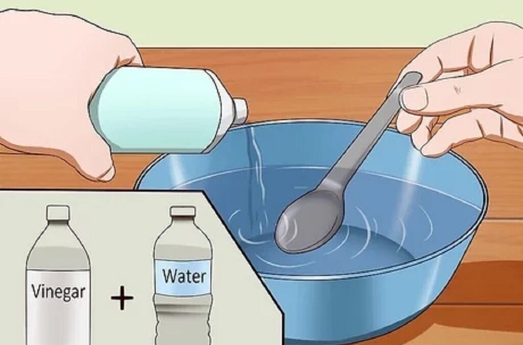How to get rid of cat urine smell