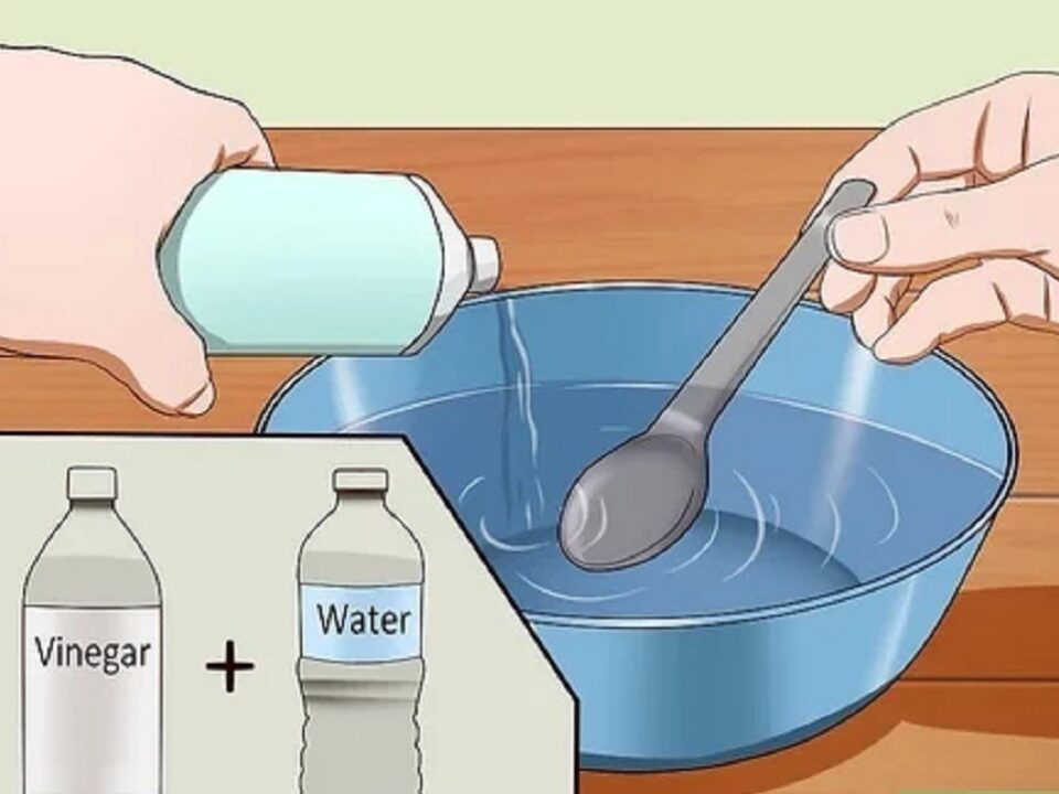 How to get rid of cat urine smell