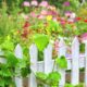 How can you protect plants and animals around you