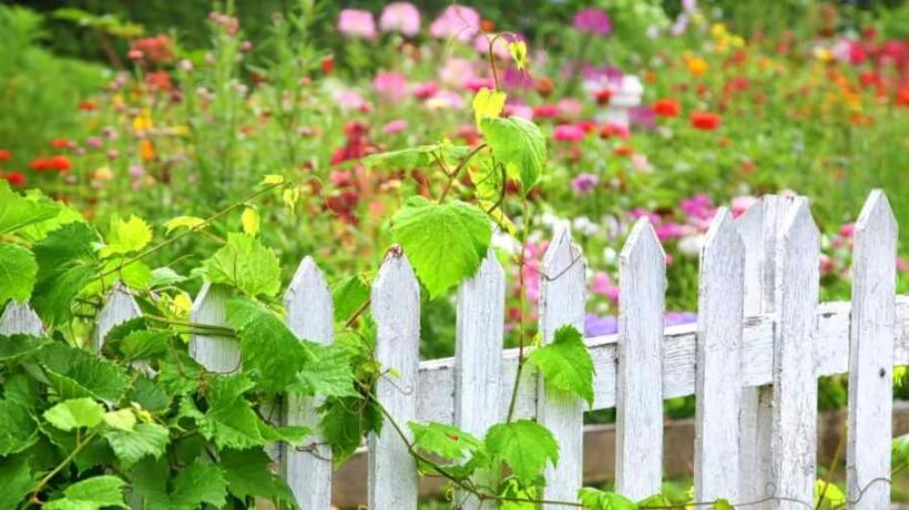 Protecting Your Garden: Essential Wildlife Prevention Tips