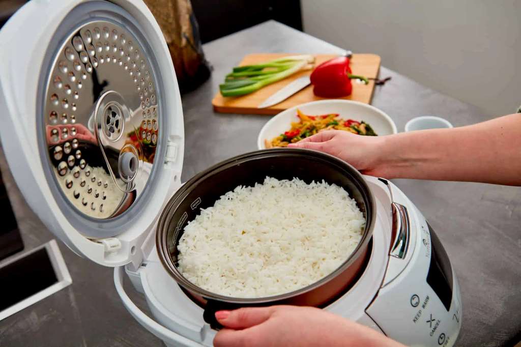 What is a thermal fuse in a rice cooker