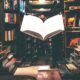 What is the startup playbook?