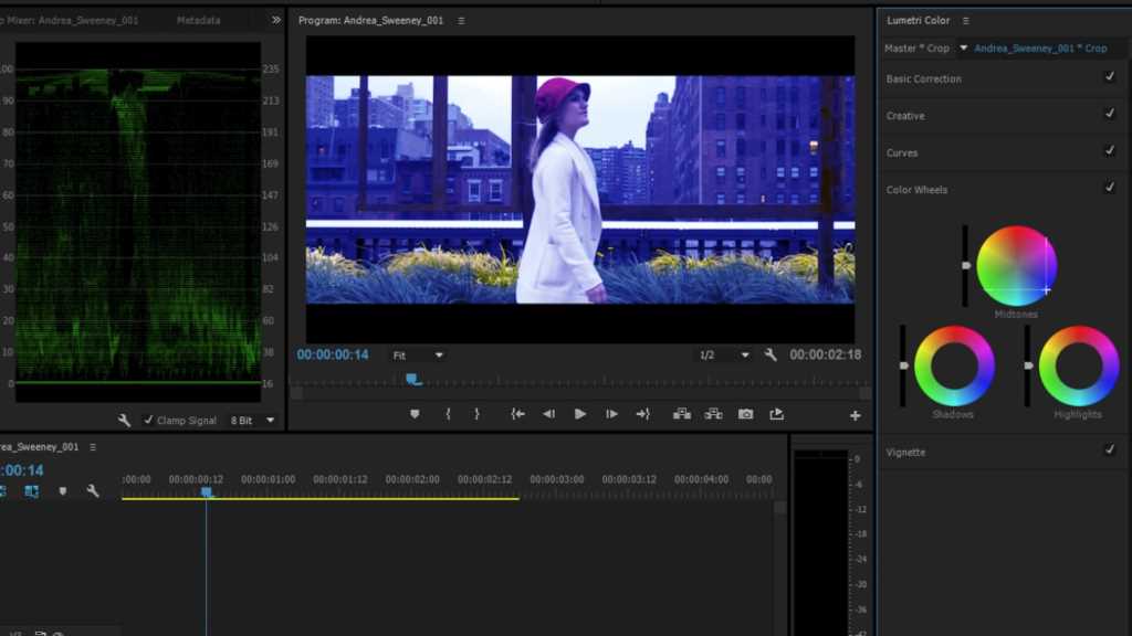 Can a self taught video editor make money