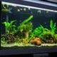 What equipment is needed in a fish tank