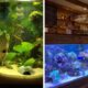 How to Create a Stunning Aquarium Landscape