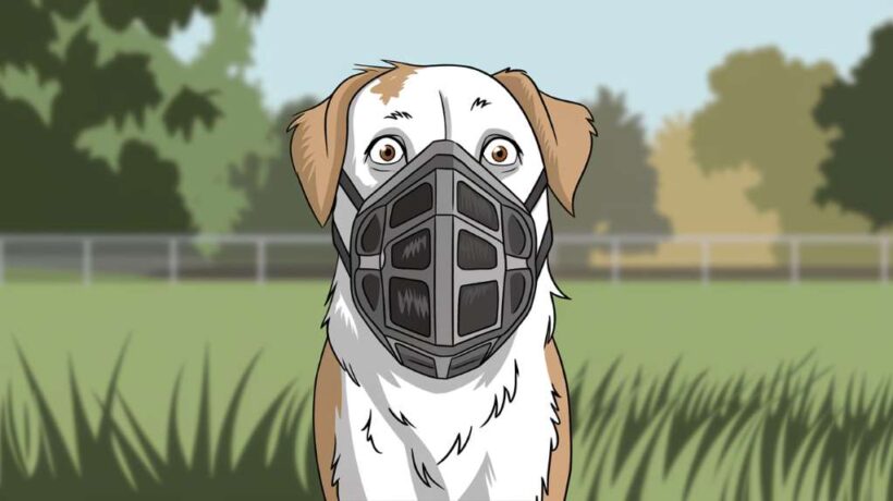 Dog Muzzles: A Guide to Understanding and Choosing the Right One