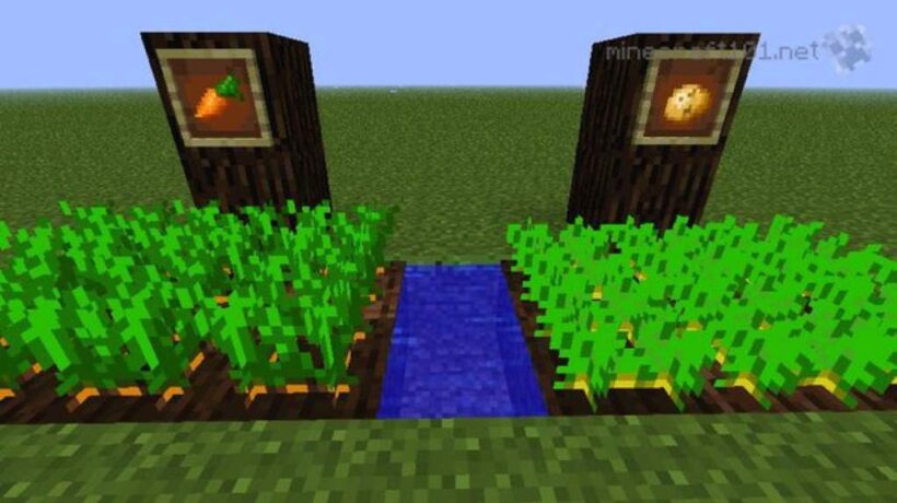 Do Crops Grow Faster Outside in Minecraft?