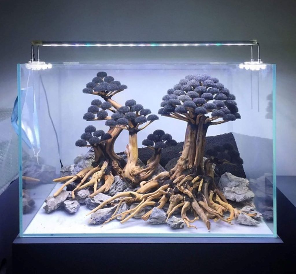 Aquascaping styles and ideas for beginners