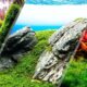 What are the different types of aquascaping styles
