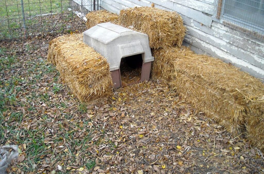 Is straw a good insulator for a dog house