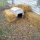 Is straw a good insulator for a dog house
