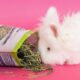What do you feed a rabbit with bladder sludge