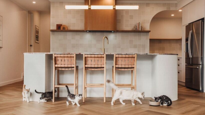 7 Genius Hacks to Reduce Noise Transfer From Plant Trolleys on Laminate Floors
