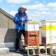 How to Attend a Rooftop Beehive Harvest Event in Brooklyn