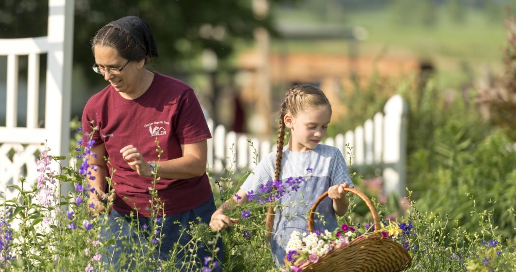 What can one do to have the perfect chemical-free lawn