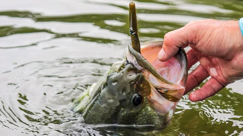 Fall Fishing Secrets: Tactics for Bigger Bites in Cooler Weather