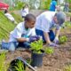 What are some easy ways to start waste-free gardening in the city
