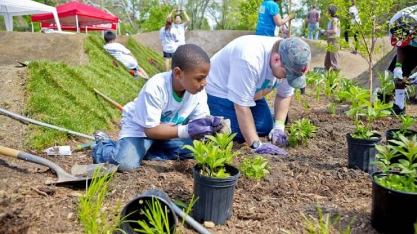 Eco‑Friendly Living in Philadelphia: Urban Green Spaces & Waste‑Free Gardening