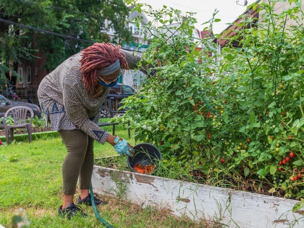 Where can I find community gardens in Philadelphia