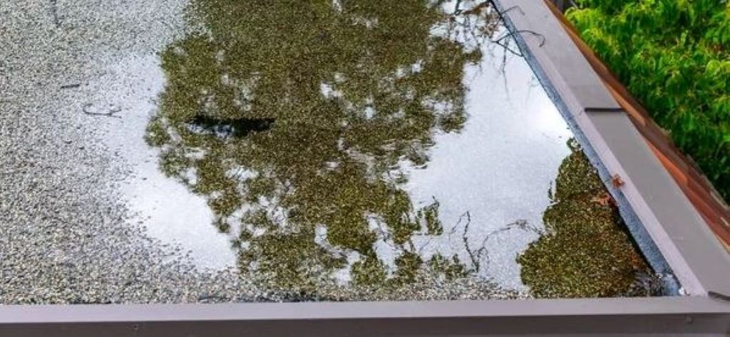 Top 7 Tips To Prevent Mold Growth After Water Damage