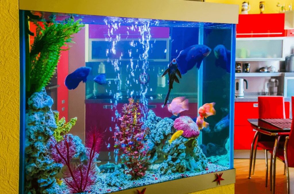 Aquarium air pump connected to flexible tubing with bubbles rising in fish tank