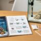 Beginner saltwater aquarium setup with reef tank equipment
